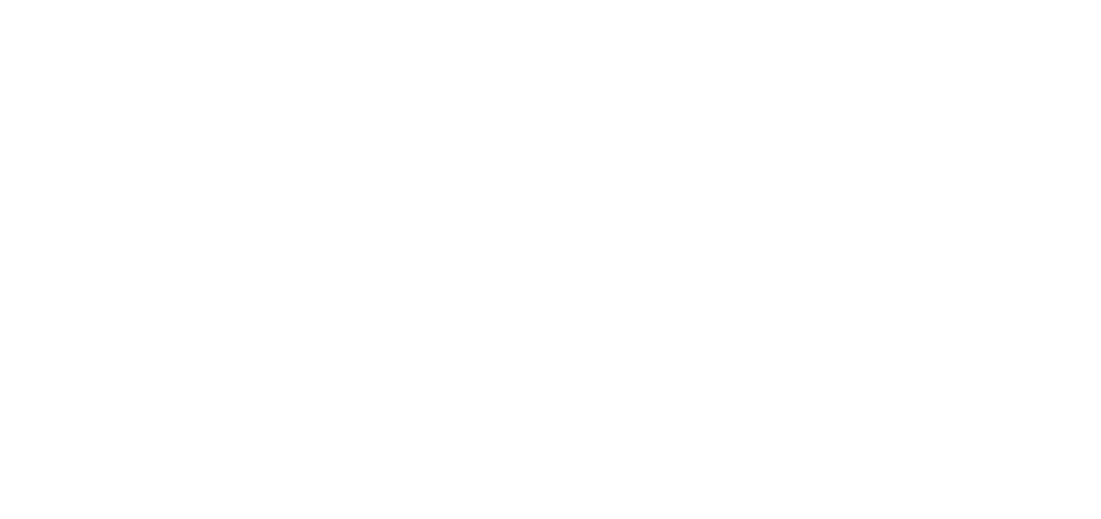 Logo VDS Peremans white